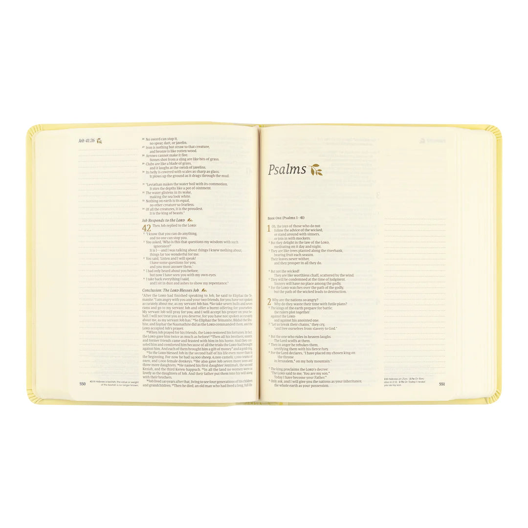 NLT Notetaking Bible - Belfast