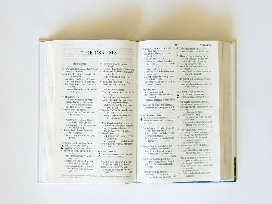 Holy Bible for Kids - ESV image 2