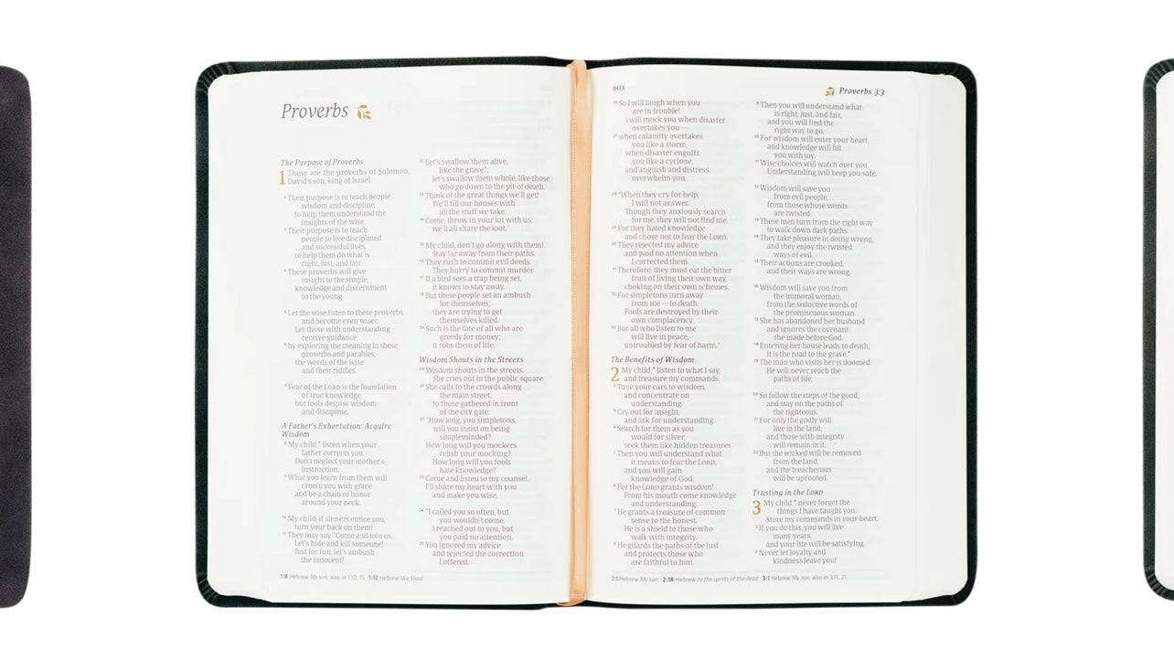 NLT Compact Bible - Jerusalem image 2
