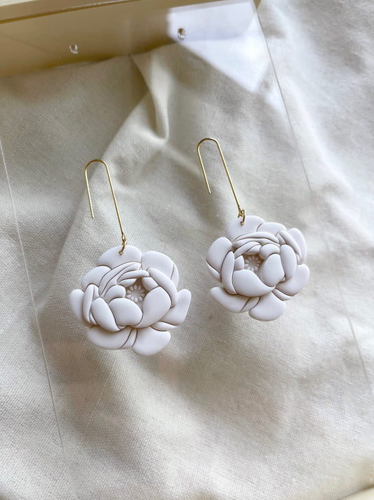 Peonies image 0